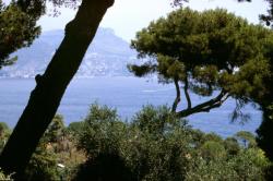 Cap Ferrat